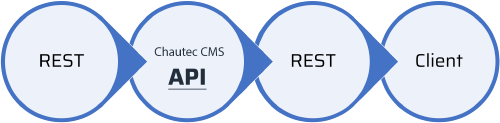 API diagram